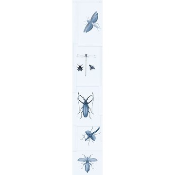 ENTOMOLOGY Blue Roll C WP20235