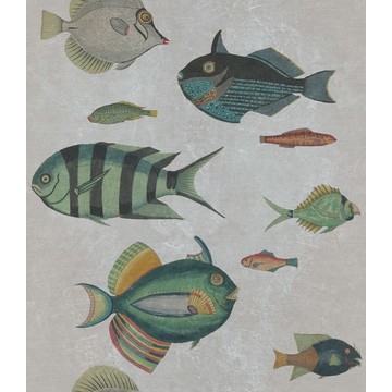 Poissons Grey WP20182