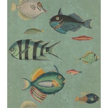 POISSONS WP20181