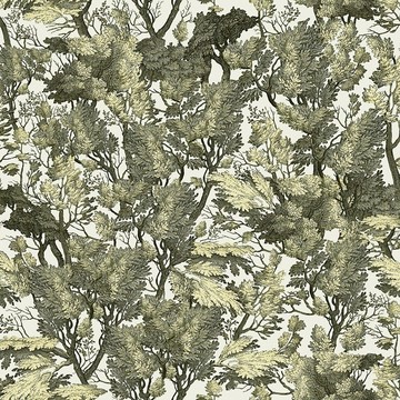Tree Foliage WP20481