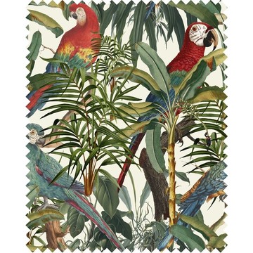 FB00008 PARROTS OF BRASIL 2