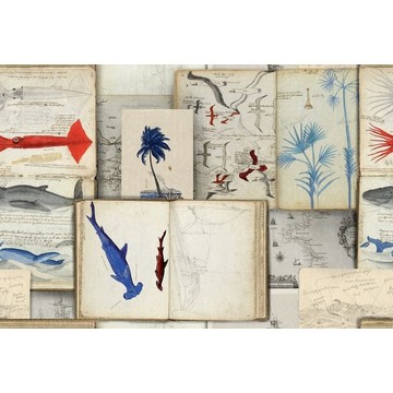 SEAMAN’S JOURNAL 156x105cm WP20562