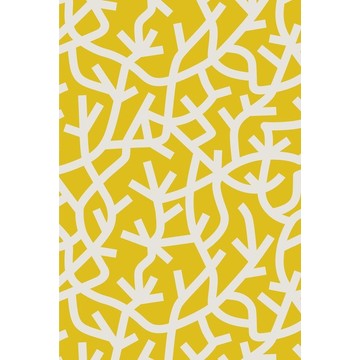 A Forest Mustard AZDPT037MU