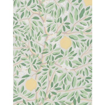 Citrus Ashy Greenery - NV231021