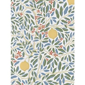 Citrus Vibrant Bloom - NV231023
