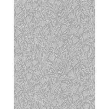 Krokus Smokey Blue - NV231052