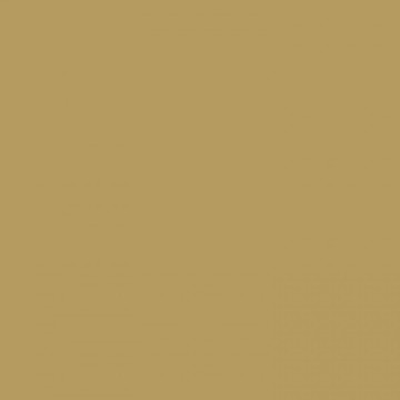 City Chic Shiny Gold 353-347 687