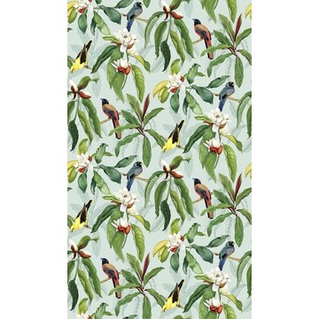 Michelia Eau De Nil W7612-04