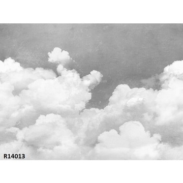 R14013_Cuddle-Clouds_Graphite_Rebel-Walls_image1-720x539-5a5afaa4-6c09-4721-afa8-760fb894a650