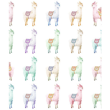 Alpaca Rebel Rainbow R18133