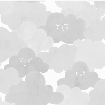 Happy Clouds Graphite R18143