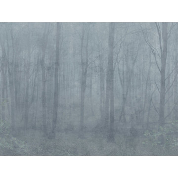 Skog Misty Blue S10106 (paneeli - tilattavissa myös m2)