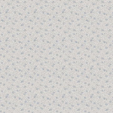 Stella Misty Blue S10120