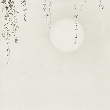 Wabi Sabi 644-00 (paneeli)