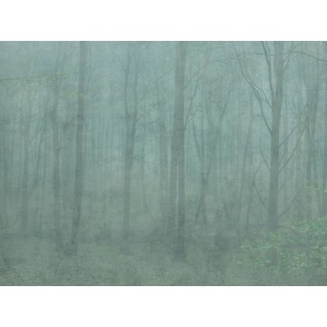 Skog Green 622-08 (paneeli - tilattavissa myös m2)