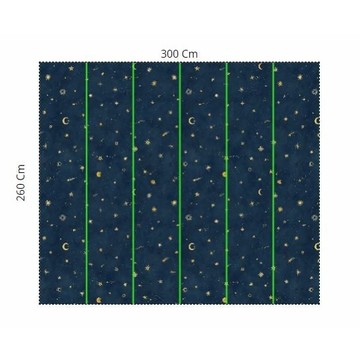 Starry Sky 659-96 L300 x xK260