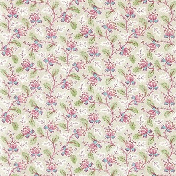 Dallimore Wild Rose 217234