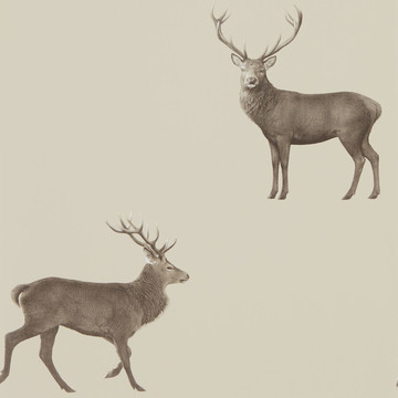 Evesham Deer Birch 216618