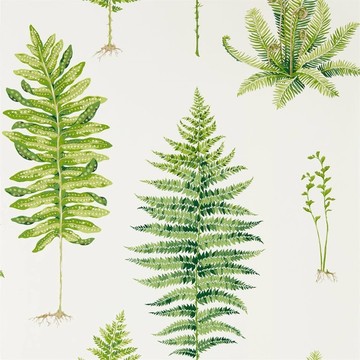 Fernery Botanical Green 216633