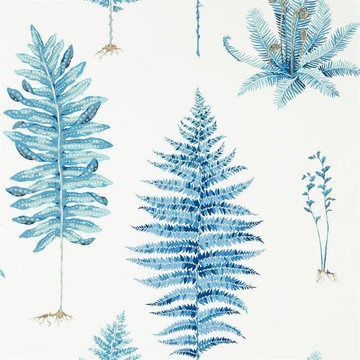 Fernery China Blue 216635