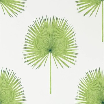 Fan Palm Botanical Green 216636