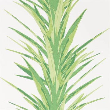 Yucca Botanical Green 216649