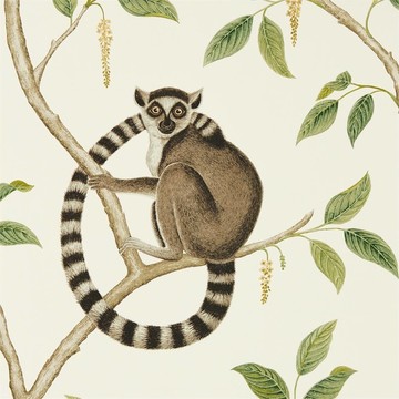 Ringtailed Lemur Cream/Olive 216664