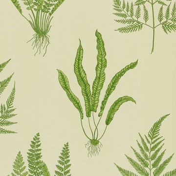 Woodland Fern Green DAPGWO102