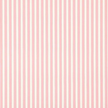 New Tiger Stripe Rose/Ivory DCAVTP101