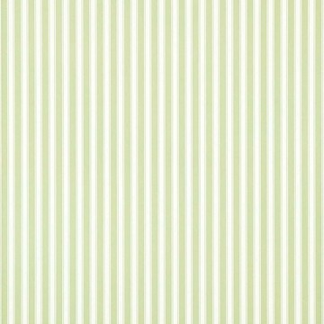 New Tiger Stripe Leaf Green/Ivory DCAVTP103