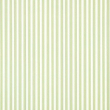 New Tiger Stripe Leaf Green/Ivory DCAVTP103