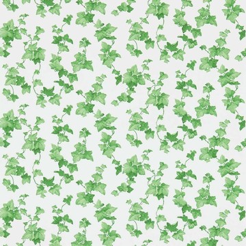 Hedera Green 214593