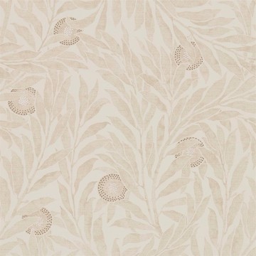 Orange Tree Oyster 216401