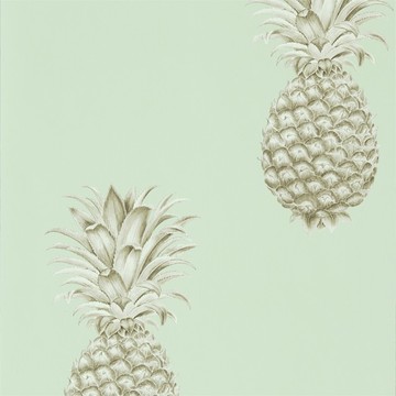 Pineapple 216325