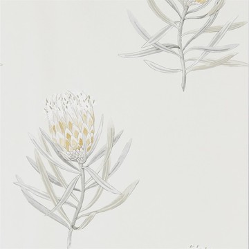 Protea Flower Daffodil/Natural 216328