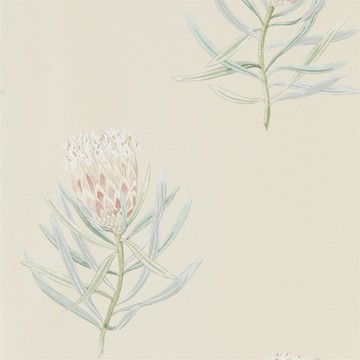 Protea Flower Russet/Green 216329