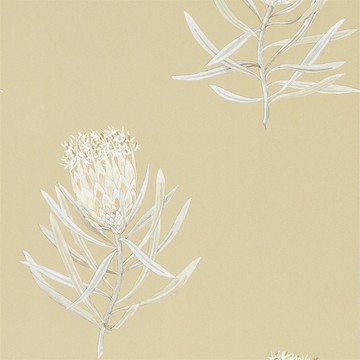 Protea Flower Sepia/Champagne 216331