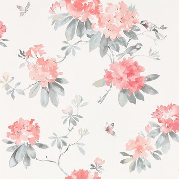 Rhodera Coral/Grey 216264