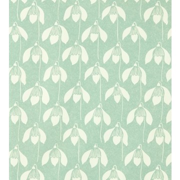 Snowdrop Sage 112801