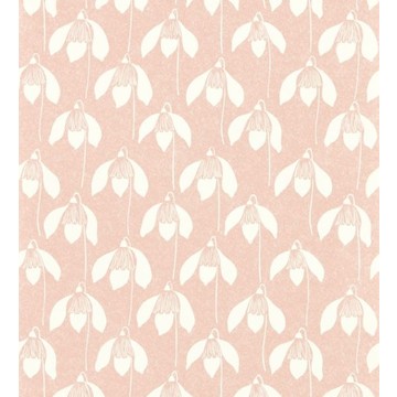 Snowdrop Milkshake 112814