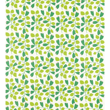 Rosehip Mint Leaf/Zest 121037