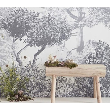 Sianzeng Hua Trees grey amb1