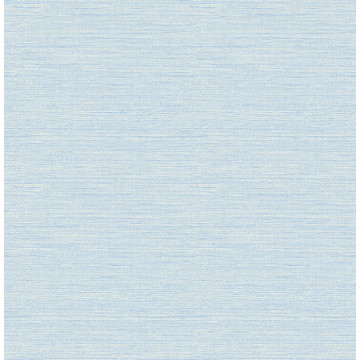 Agave Grasscloth FD24283