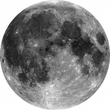 Moon D1-019 tarra