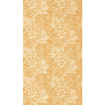 Marigold Orange 217093