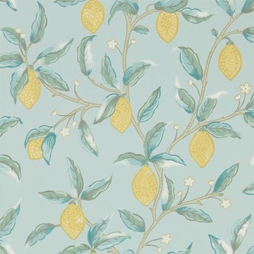 Lemon Tree Wedgewood 216674