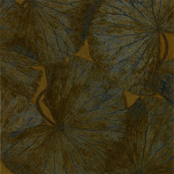 ZTOT312748_zoom
