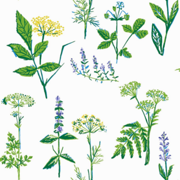 Lisbet Jobs Köksväxter 1789