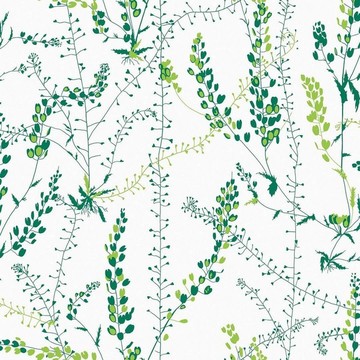 Arne Jacobsen Bladranker 1787