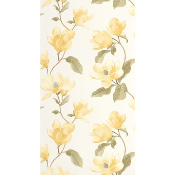 Brume de Magnolia BJAR 20254 20 02